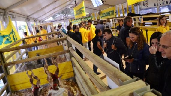 Il Villaggio Contadino di Coldiretti a Roma: un’occasione per riflettere sullo stato dell’agricoltura italiana