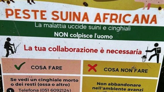 Cristian Segreto (Democrazia Cristiana Lombardia): la Peste Suina avanza nel Lodigiano ed in regione Lombardia ed urgono azioni concrete per fermarne l’avanzata !