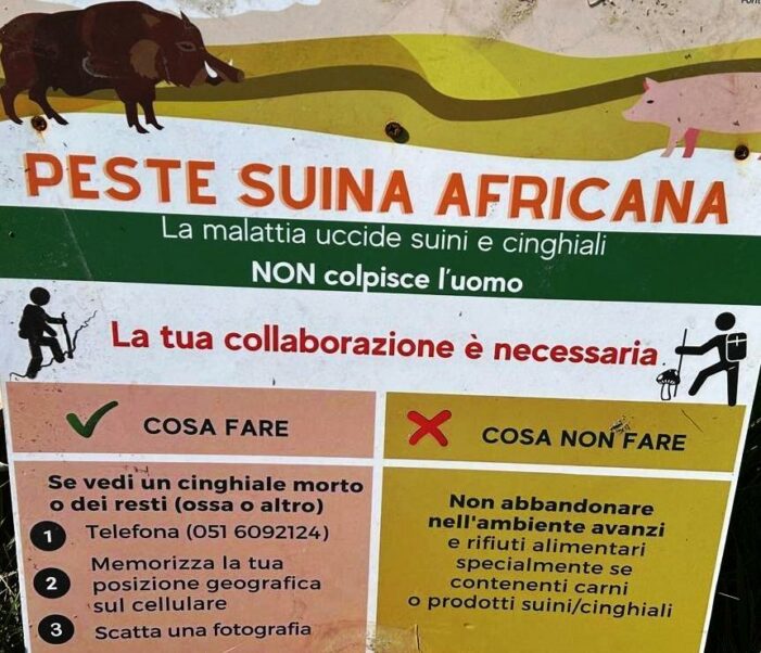 Cristian Segreto (Democrazia Cristiana Lombardia): la Peste Suina avanza nel Lodigiano ed in regione Lombardia ed urgono azioni concrete per fermarne l’avanzata !