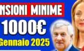 Durissimo attacco del Presidente nazionale del Movimento Seniores della Democrazia Cristiana Franco Capanna al Governo Meloni: il peggiore di sempre ! 